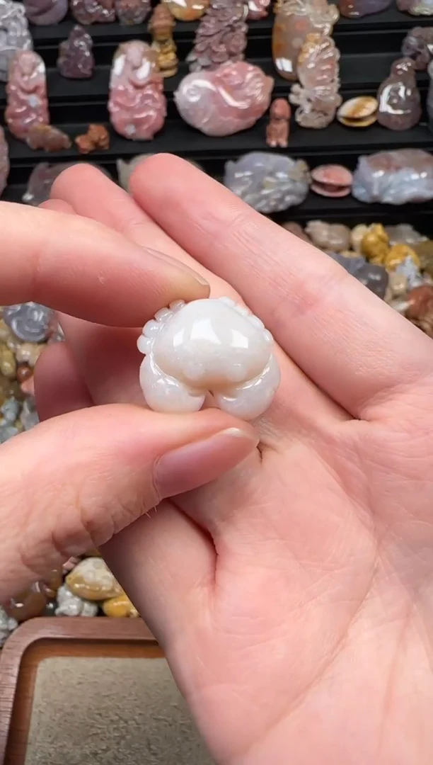 颈饰未镶嵌硅化珊瑚（珊瑚玉）076