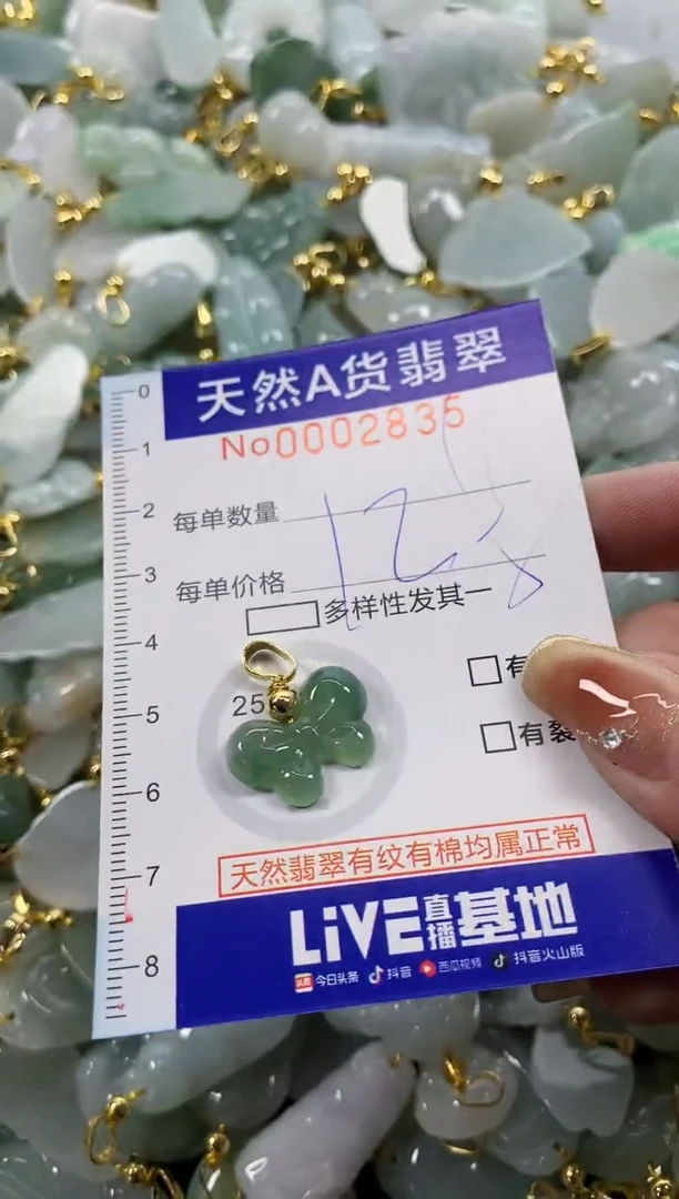颈饰未镶嵌翡翠芝***?天然A货翡翠