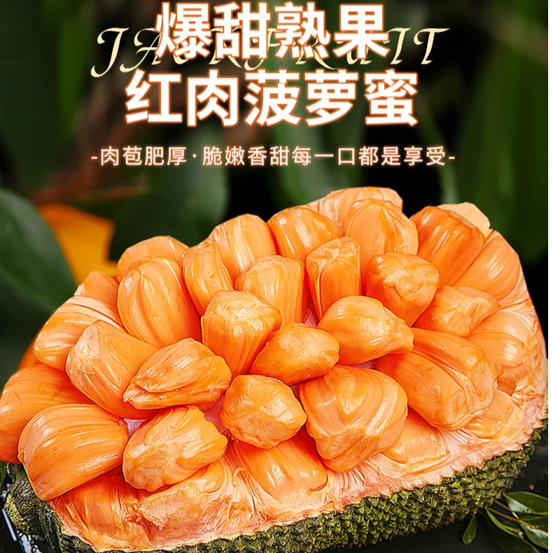 【现开现发】越南进口印尼红肉菠萝蜜水果（区间A1-20）切果1-10斤红肉菠萝蜜越南社会主义共和国