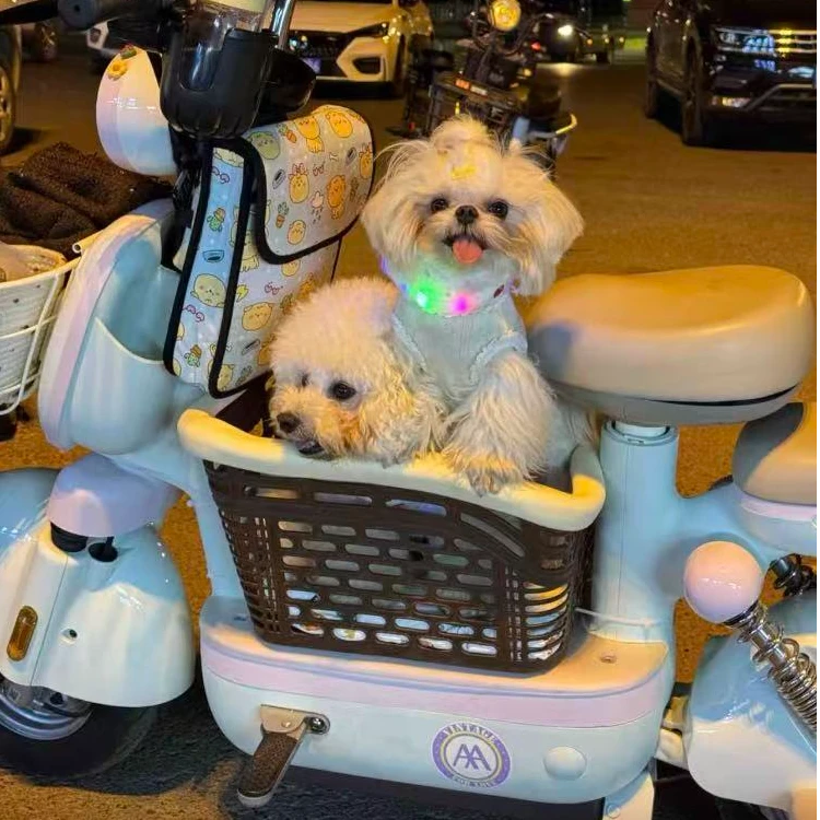 HIPET 20斤内电动车宠物筐狗狗电动车座椅电动车载狗筐宠物车筐