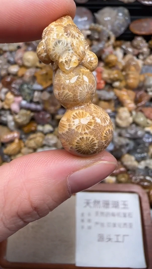 硅化珊瑚（珊瑚玉）未镶嵌颈饰180