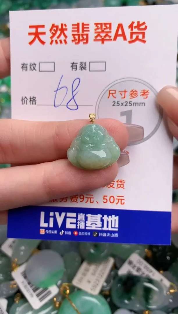 翡翠18K金镶嵌颈饰14005607