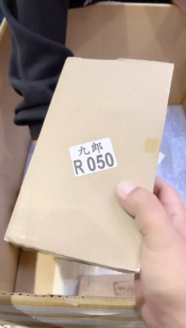 瓷片寒*纪050 寒武纪 寒武纪 寒武纪 寒武纪