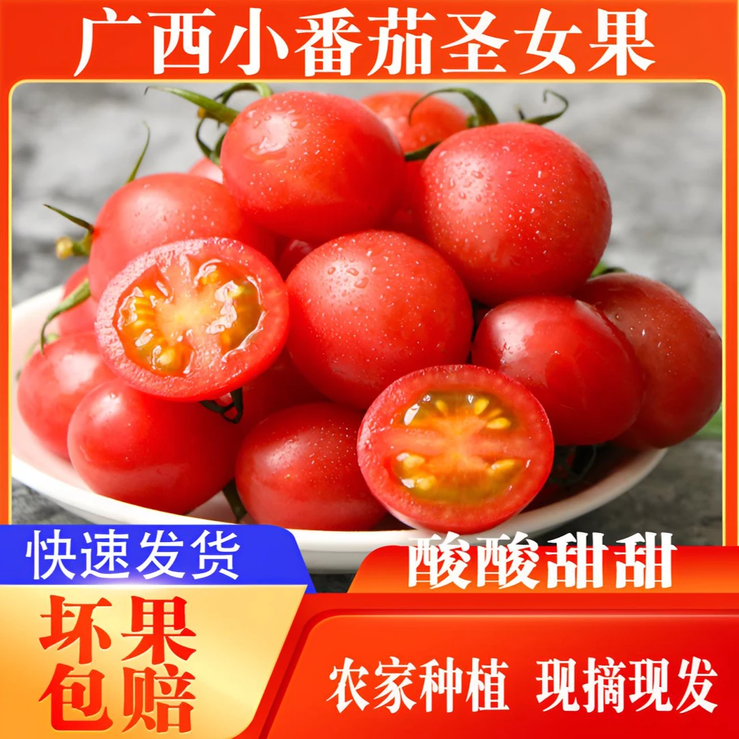 桂百银泰广西百色圣女果新鲜小番茄当季蔬菜水果肉厚爆汁小西红柿
