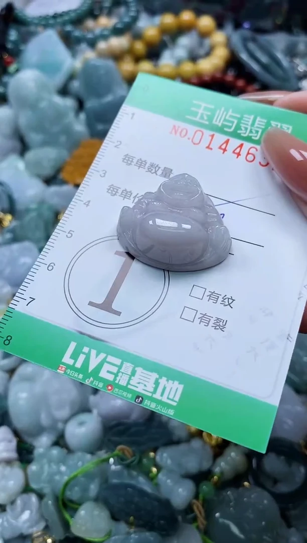 翡翠未镶嵌颈饰闪购0144632多样性发其一