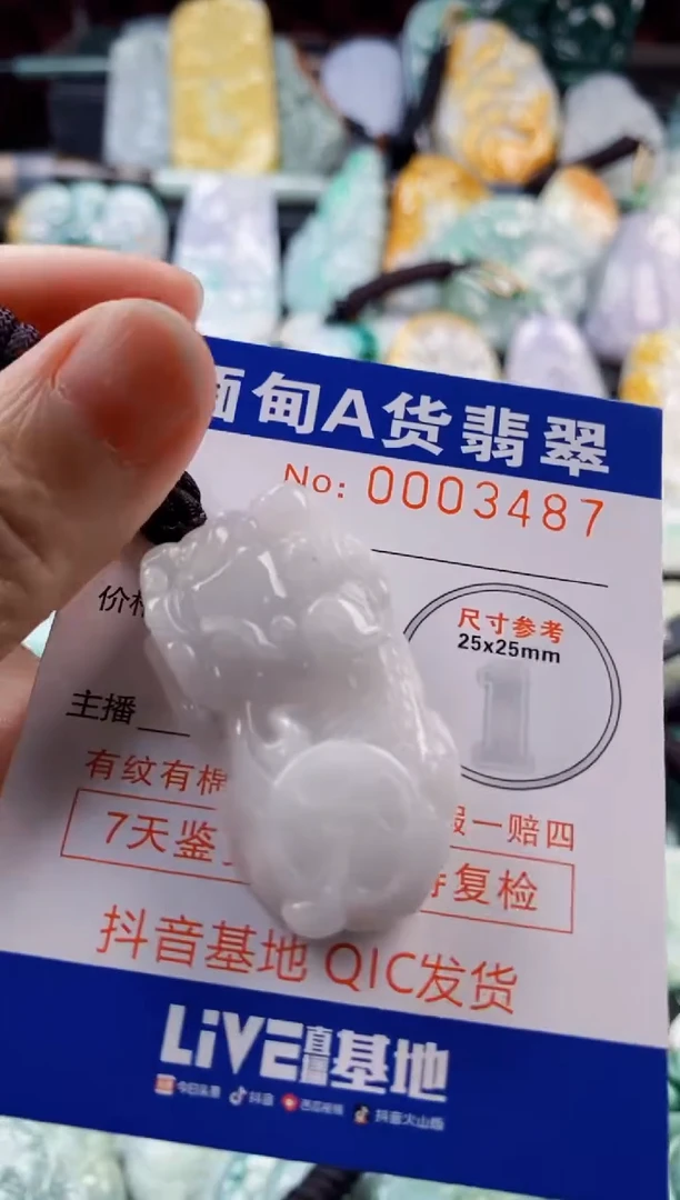 翡翠未镶嵌吊坠(不含链)1