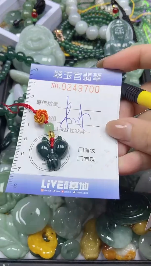 颈饰未镶嵌翡翠闪购C0249700