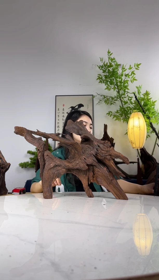 二*拍这个定向编号67