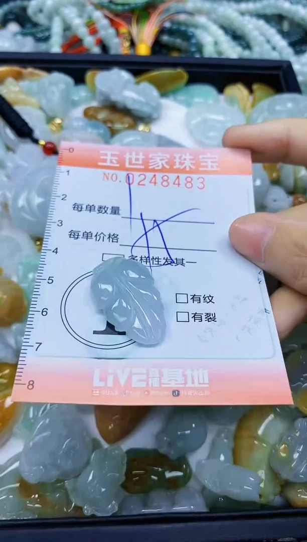 翡翠未镶嵌颈饰闪购0248483