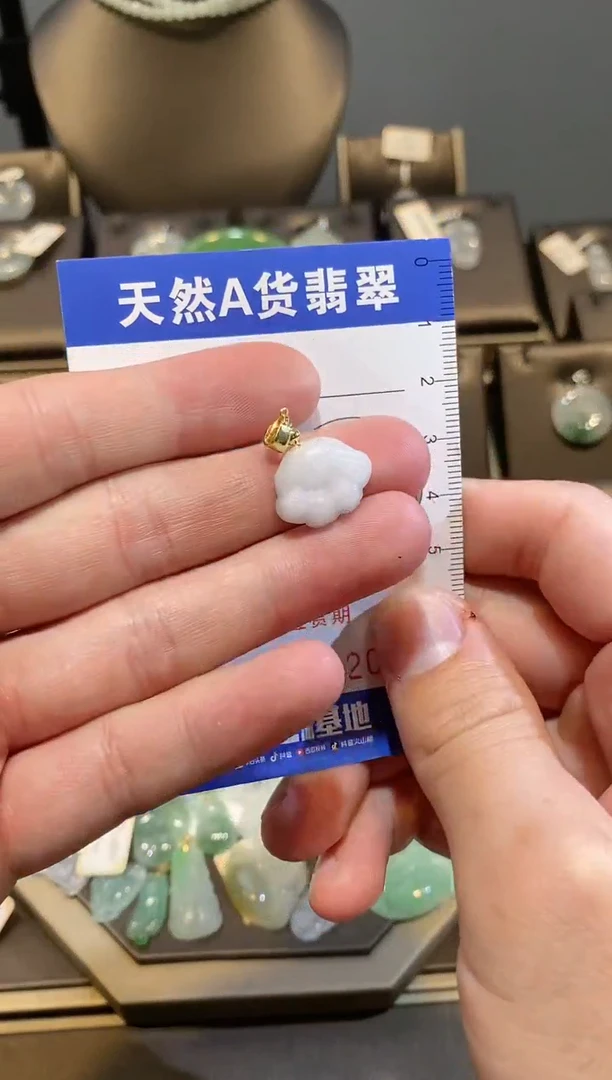 【闪购商品】翡翠颈饰未镶嵌纯天然A货翡翠一件