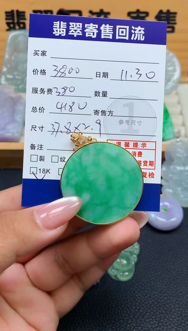 颈饰18K金镶嵌翡翠10151237
