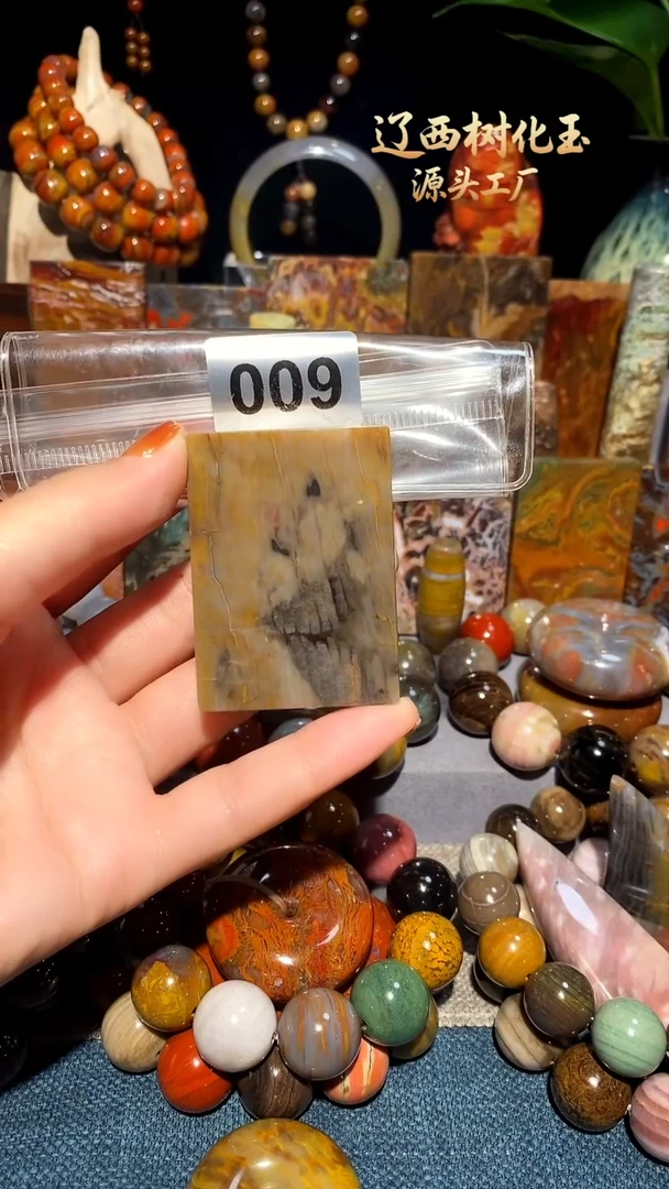 未镶嵌-硅化玉天然北票硅化玉吊坠