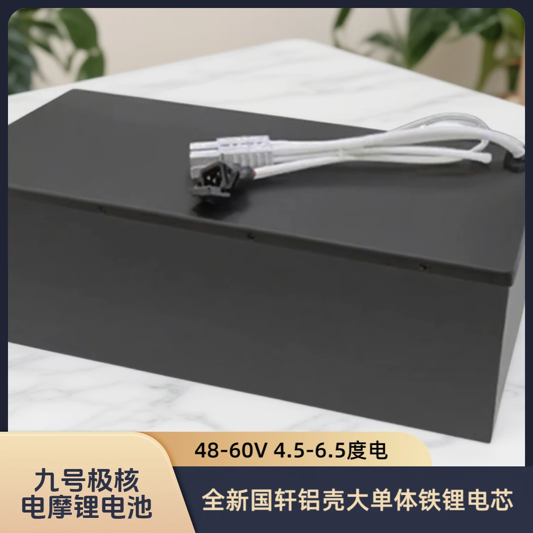 磷酸铁锂大单体电池九号极核电动车4.5-6.5度全新国轩蚂蚁极空板