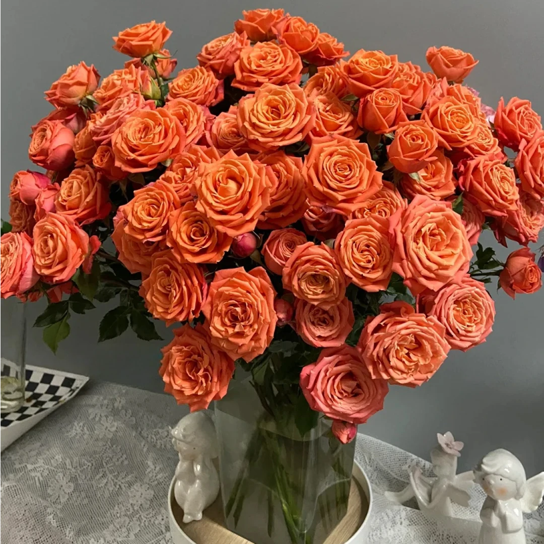 【橙色记忆】玫瑰  2单正价包邮，偏远地区有运费  云南鲜花基地直发