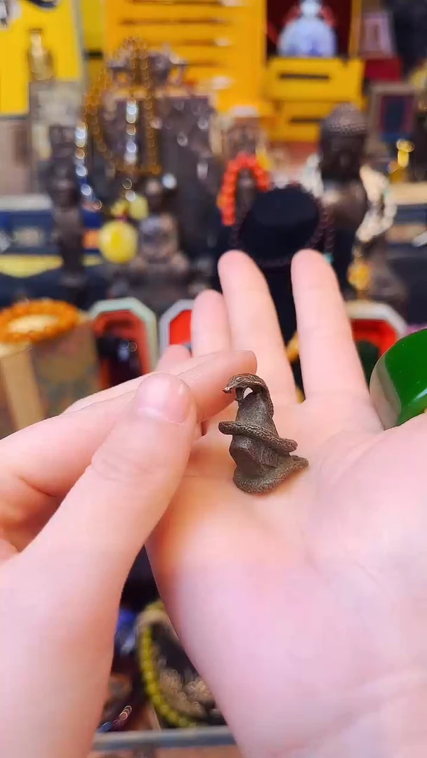 【闪购商品】大美专属宠粉链接1