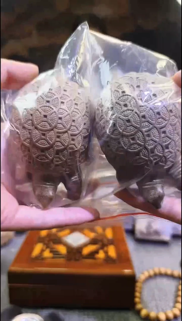 金丝楠王*营     金钱龟