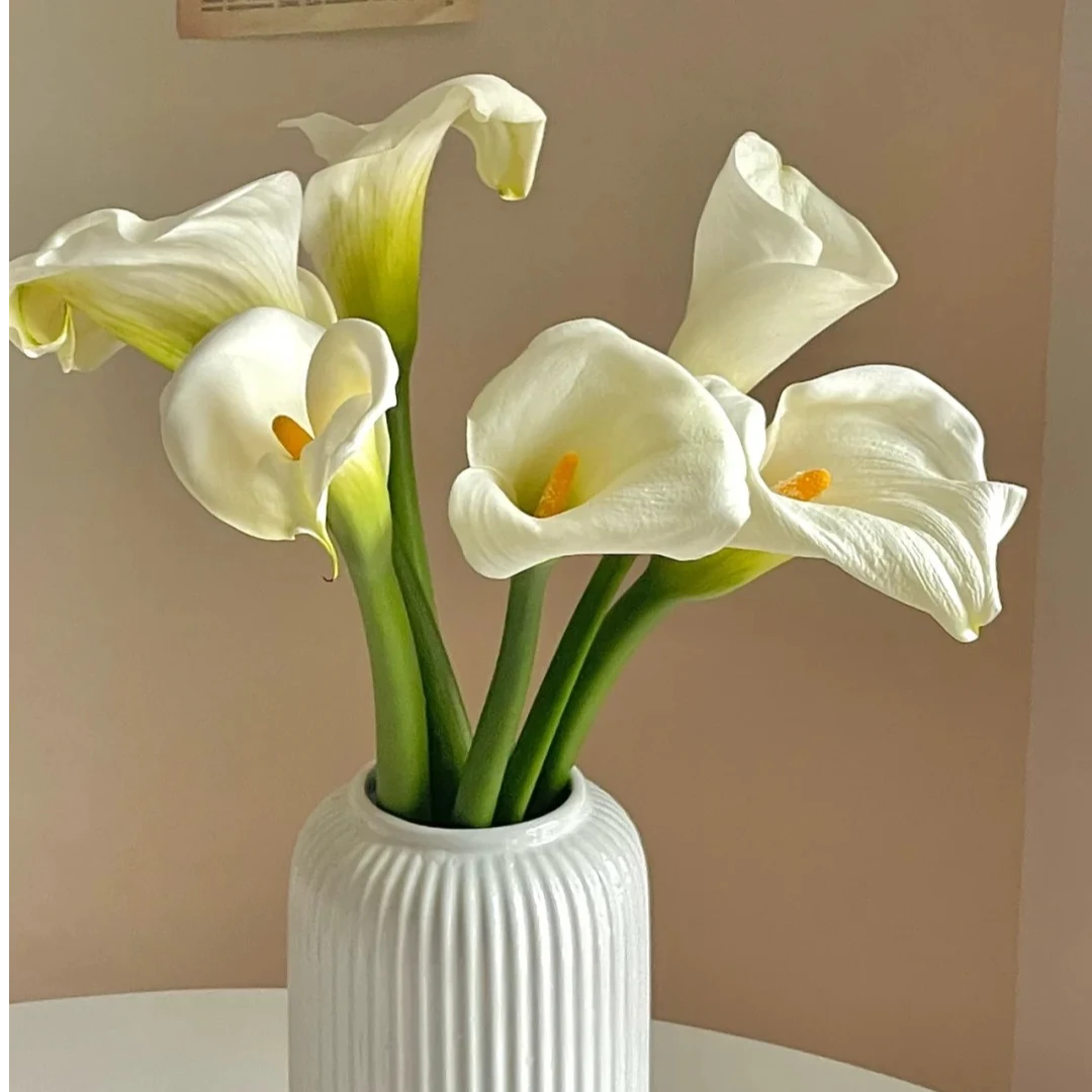 马蹄莲10枝 鲜花 收到需醒花 云南基地直发 揽收无法退款