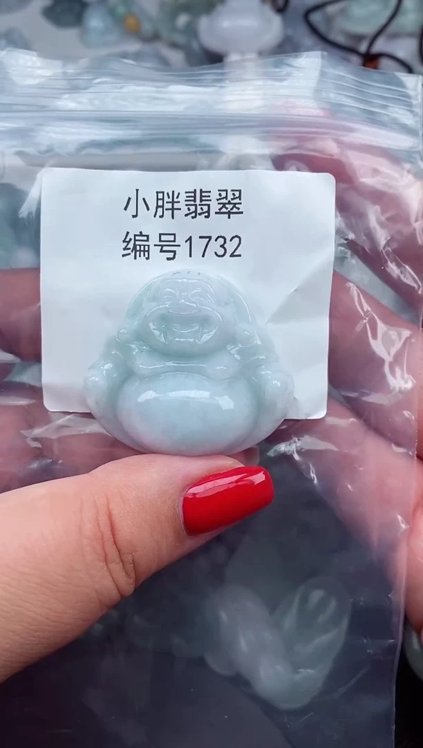 颈饰未镶嵌翡翠缅甸天然A货翡翠1732