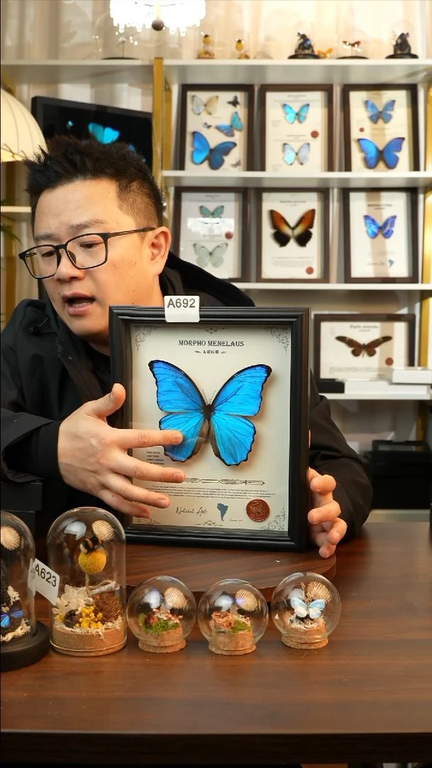 咖**道大蓝闪蝶-英文（10寸欧式黑框）A692