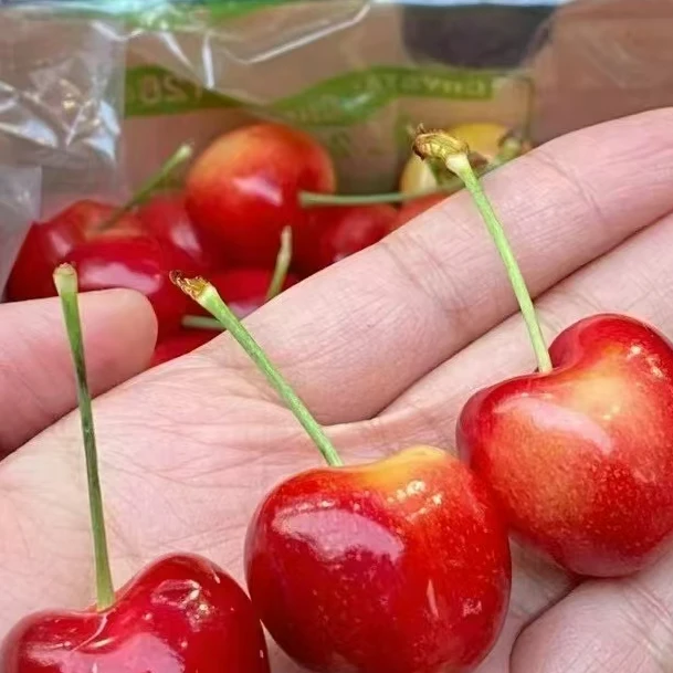 斯凯拉雷/三番吉制-雷尼尔车厘子-黄车2J/3J原箱4.4斤 内附果径卡