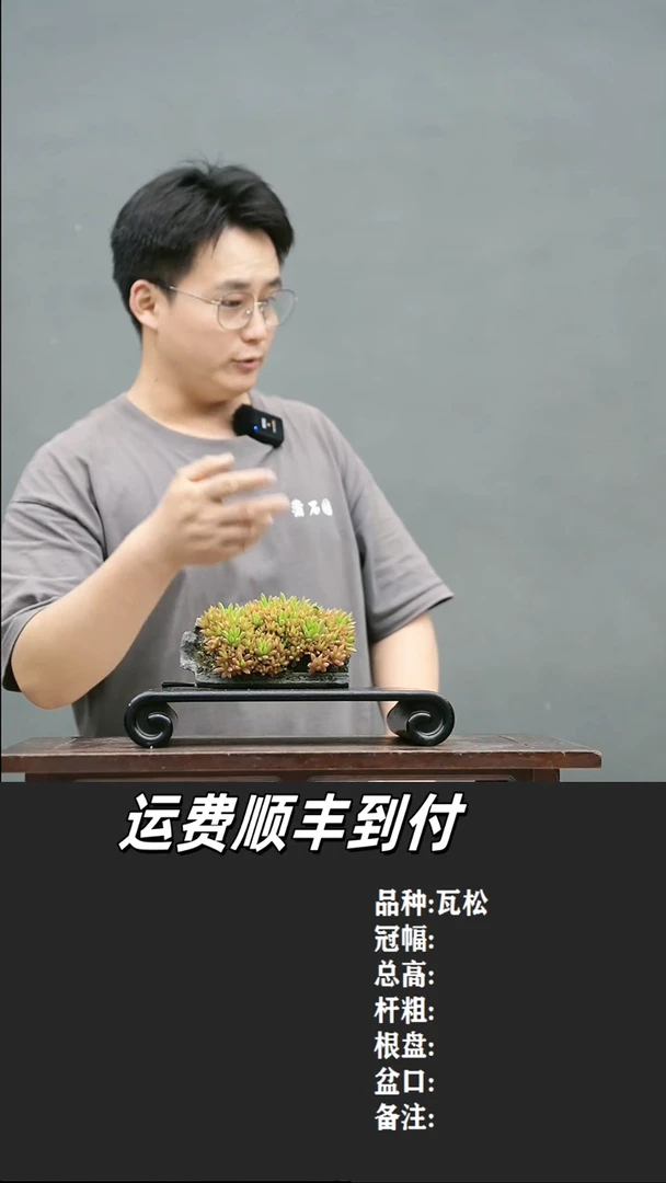 方*1 瓦松