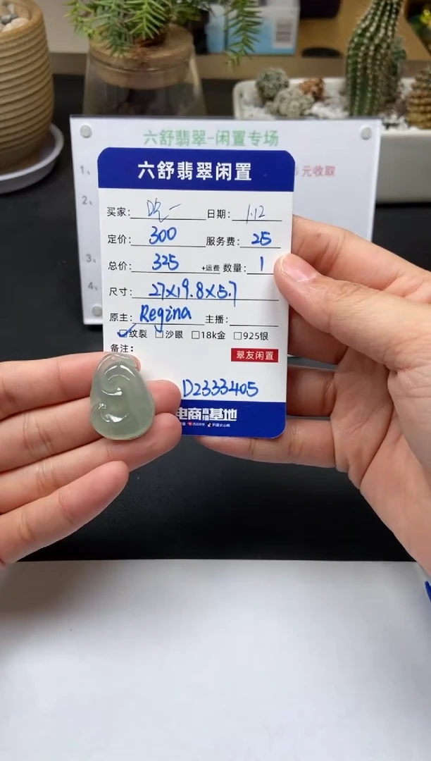 【闪购商品】翡翠颈饰未镶嵌D2333405