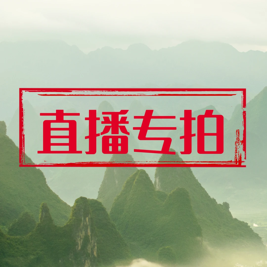 沁园春微瑕书法作品