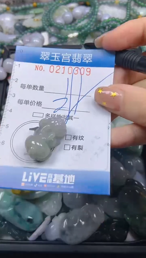 颈饰未镶嵌翡翠闪购C0210309