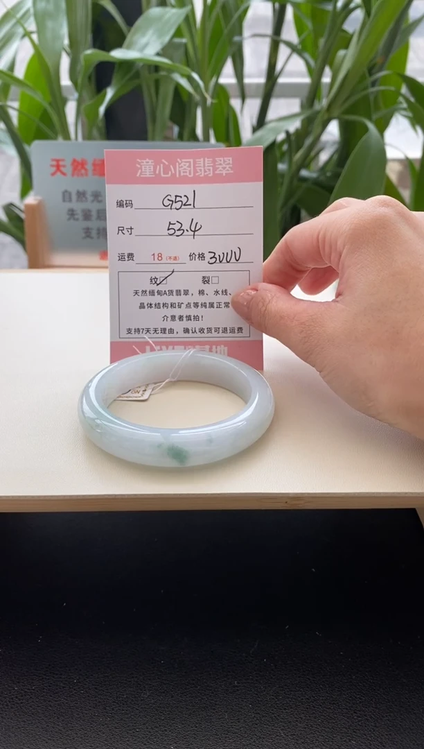 未镶嵌手镯翡翠圈口53.5编码g521