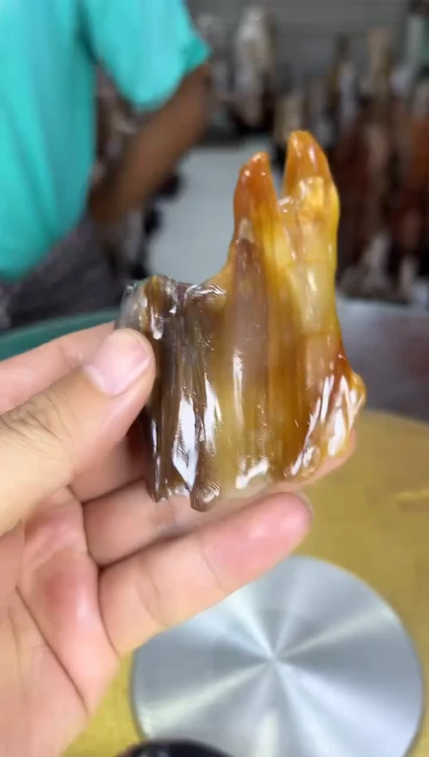 硅化玉珠宝奇石未镶嵌缅甸天然树化玉