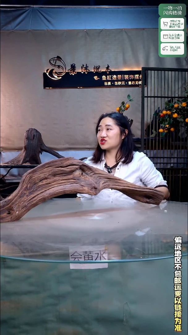景沐沉木C731 73-12-24
