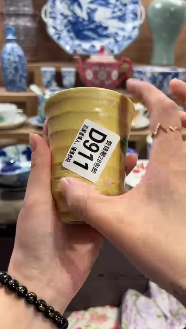 瓷片最**虫       D911