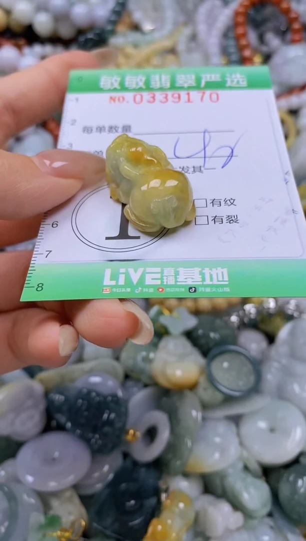 颈饰未镶嵌翡翠闪购0339170