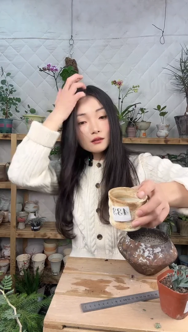 无花朵编号 433 景德镇手工花盆