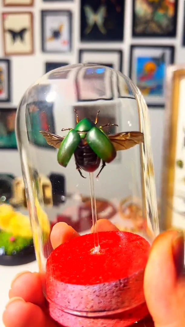 有机玻璃18858828