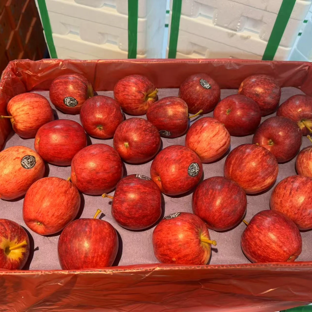 《农人老三》新西兰红佳丽苹果一箱8粒 2-2.5斤  京东包邮