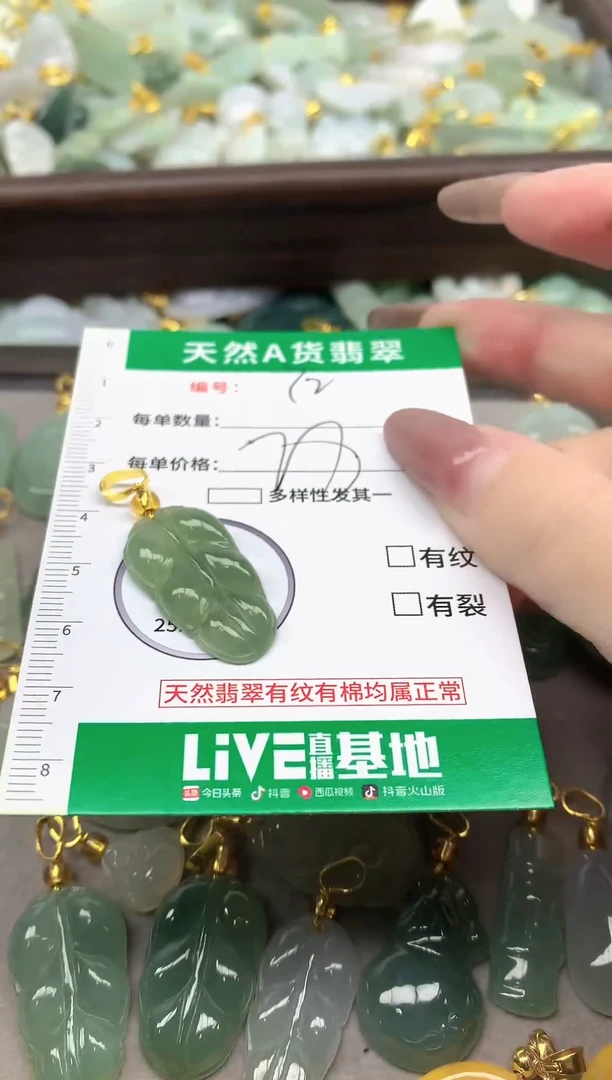 颈饰未镶嵌翡翠纯天然缅甸A货翡翠-72