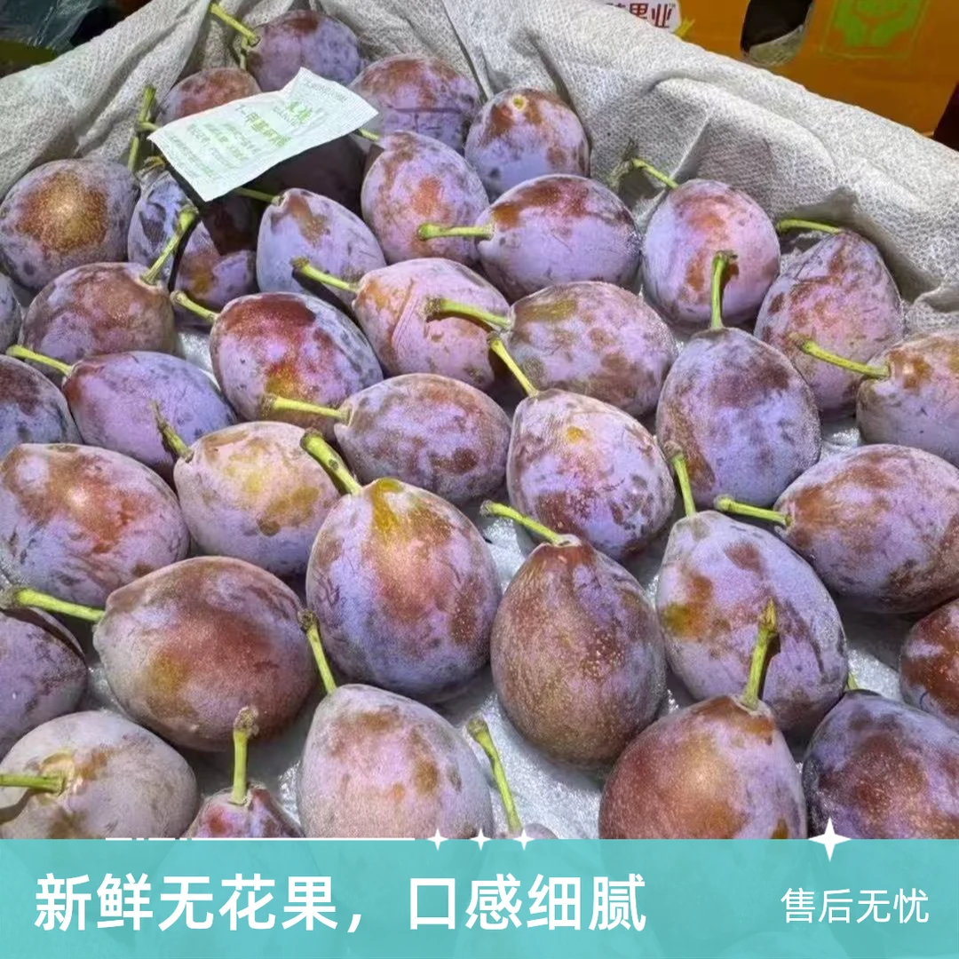 新疆西梅 净重4斤/箱【大果】硬脆甜