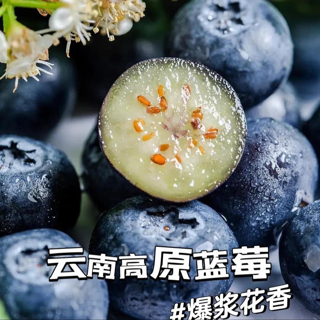 云南高山花香蓝莓鲜果新鲜采摘脆甜多汁当季水果宝宝辅食整箱发货