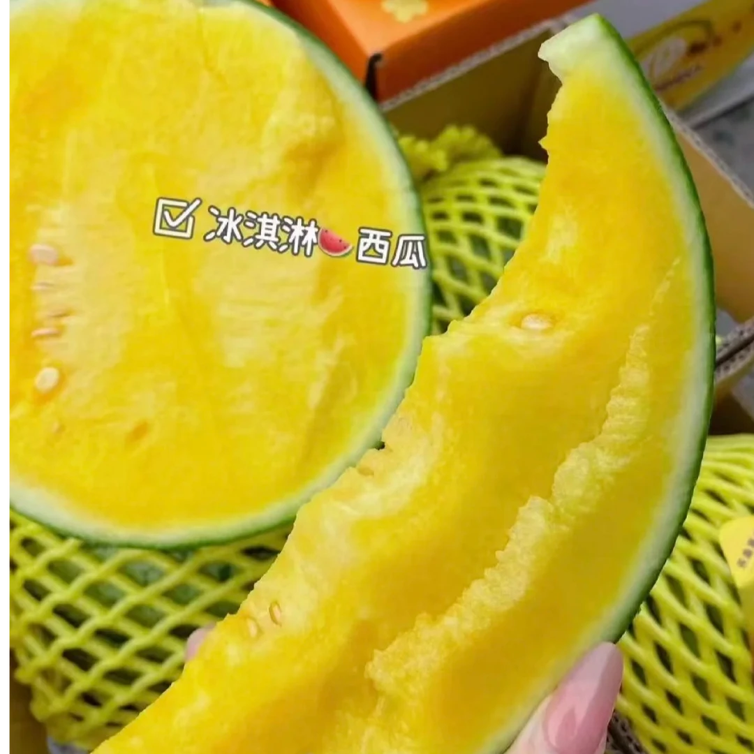 盐城市特小凤西瓜500g江苏省