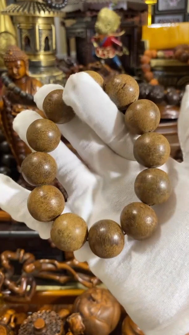 木中之王金奇单圈