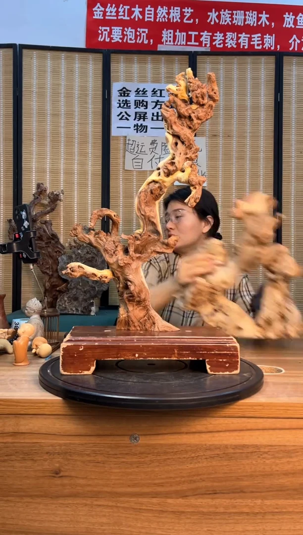 【闪购商品】木云南红河金丝红301