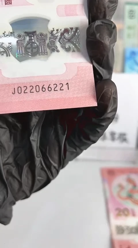 【闪购商品】塑料蛇钞单张号码022066221