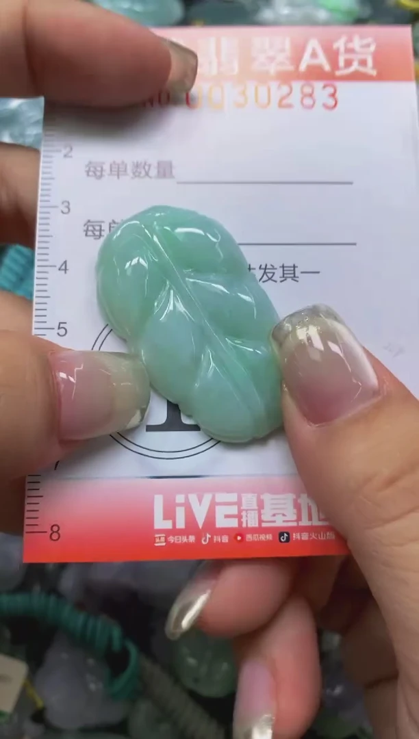 翡翠未镶嵌颈饰闪购0030283