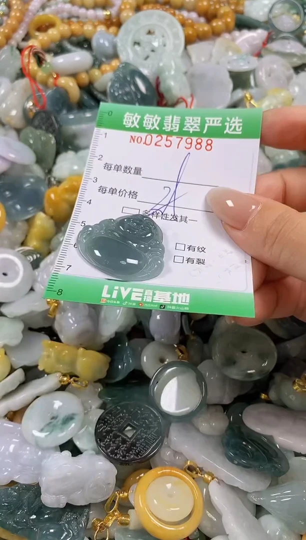 翡翠未镶嵌颈饰闪购0257988多样性发其一