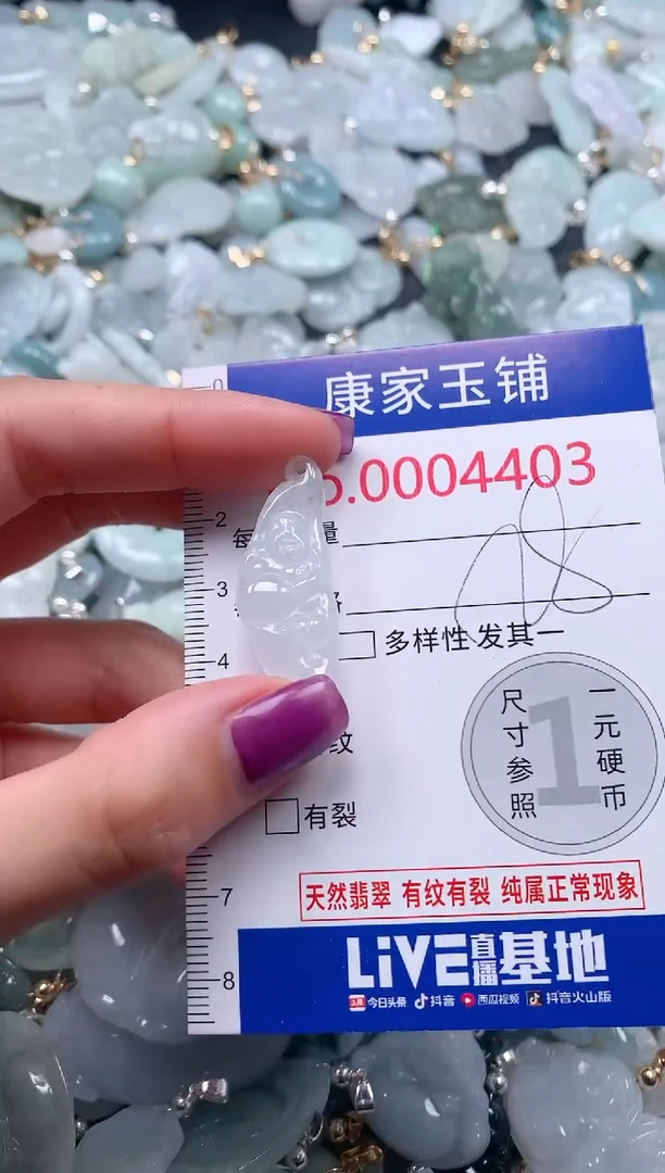 颈饰未镶嵌翡翠4403