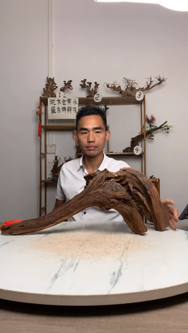 豪****鹏鱼缸造景沉木摆件