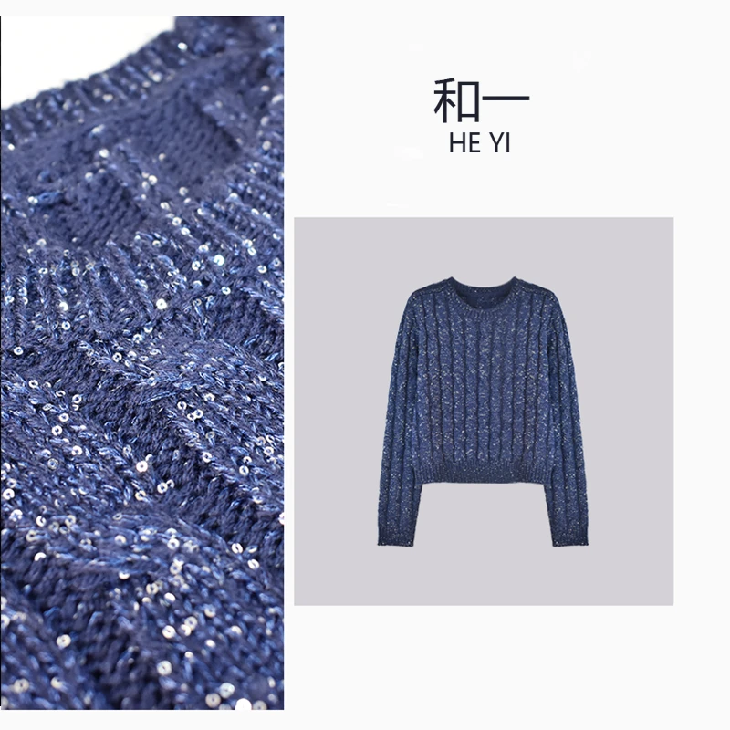 HY 蓝紫色亮片纱重工圆领绞花针织毛衣-00169