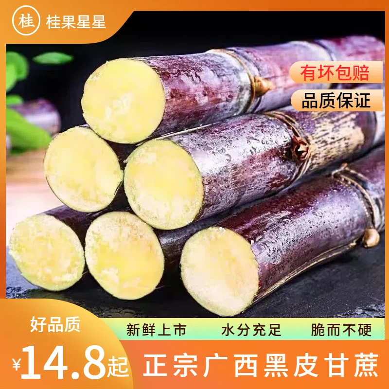 【又脆又甜】正宗广西黑皮甘蔗新鲜现砍现发脆甜8月份新上市果蔗