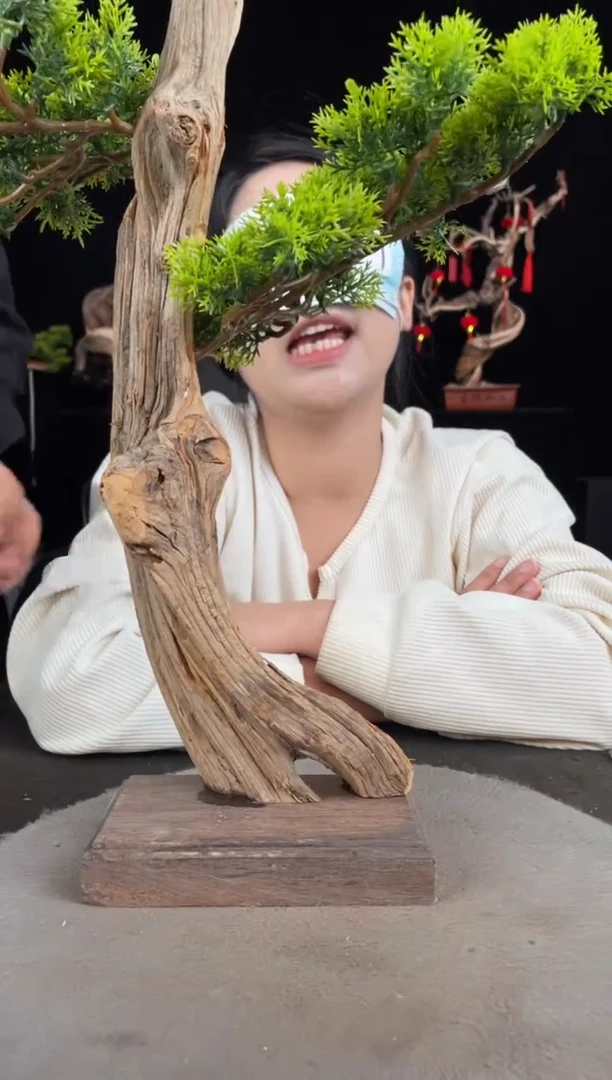 【闪购商品】柏木（崖柏）其他手工摆件,先抢先得!